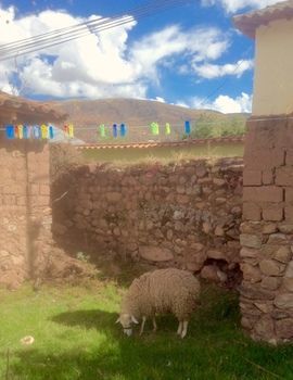 Hospedaje Venka Urubamba - Hostel
