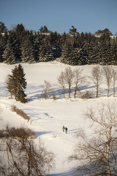 Ramada Hotel Willingen