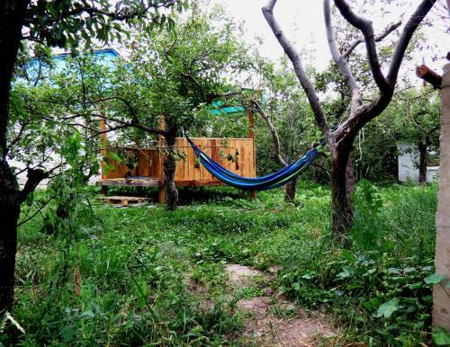 Albergue Interhouse Karakol