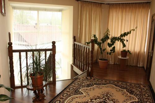 Hostal Argo Guest House