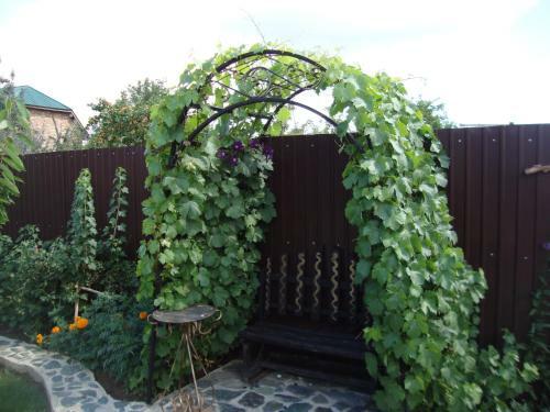 Hostal Karakol Holiday