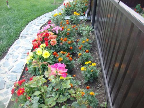 Hostal Karakol Holiday