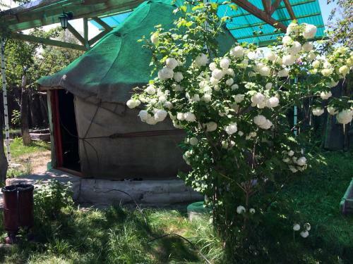 Turkestan Yurt Camp