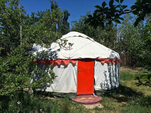 Turkestan Yurt Camp
