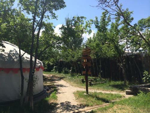 Turkestan Yurt Camp