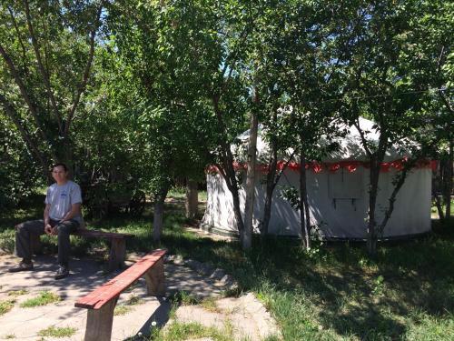 Turkestan Yurt Camp
