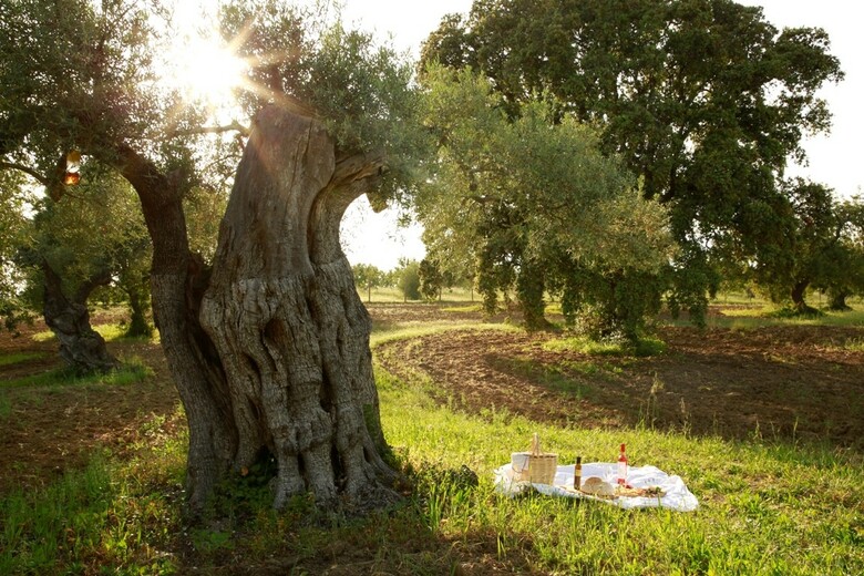 Hotel Fazenda Nova - Country House