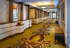 Hotel Chicago Marriott Suites Downers Grove
