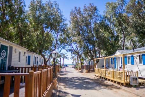 Camping Sant Salvador