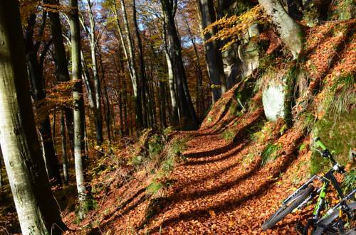 Bed & Breakfast Berdorfer Eck