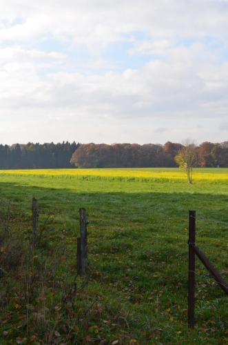 Bed & Breakfast Berdorfer Eck