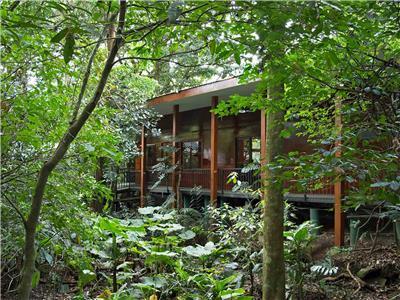 Hotel Jaguarundi Lodge