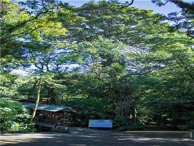 Hotel Jaguarundi Lodge