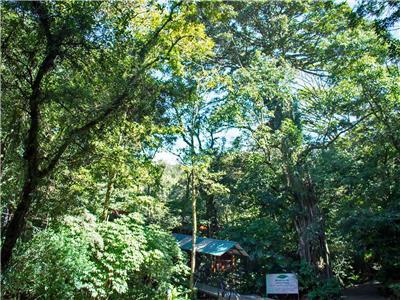 Hotel Jaguarundi Lodge