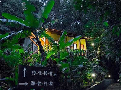 Hotel Jaguarundi Lodge