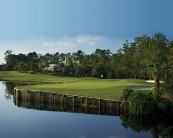 Hotel Saddlebrook Resort And Spa