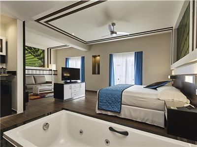 Hotel RIU Dunamar