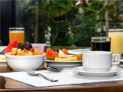 Hotel Millennium Manaus Manaus