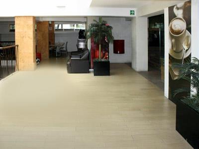 Hotel Villa De Madrid Grand