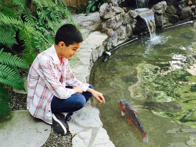 Hotel Majestic Garden