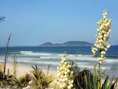 Morro Das Pedras Clube Hotel