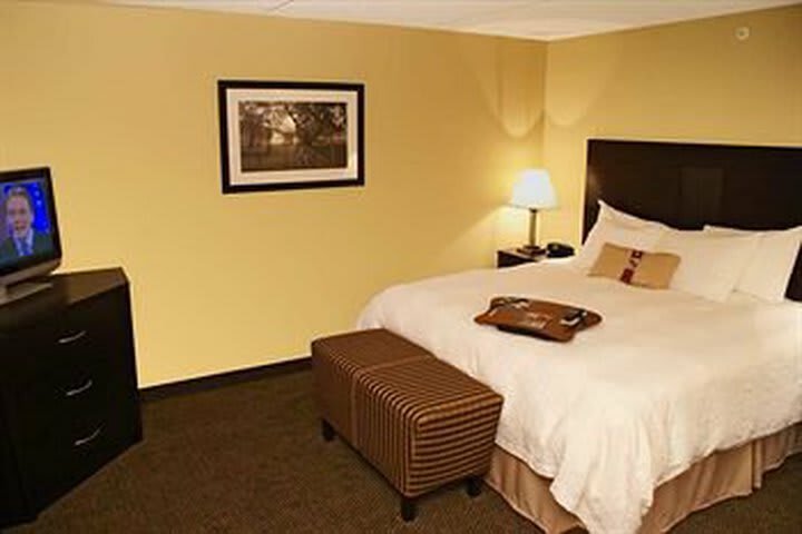 Hotel Hampton Inn & Suites Alexandria