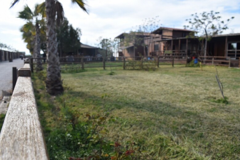 Bungalows Park Albufera
