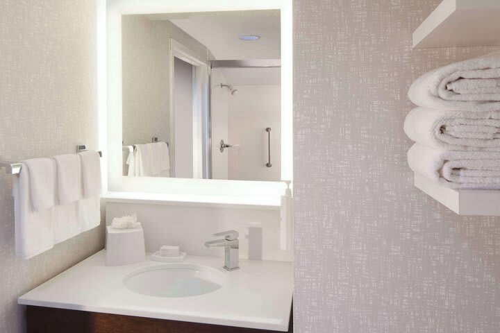 Hotel Hampton Inn & Suites Atlanta Airport