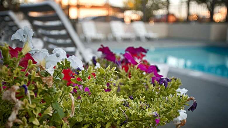 Hotel Best Western Airport Inn Boise