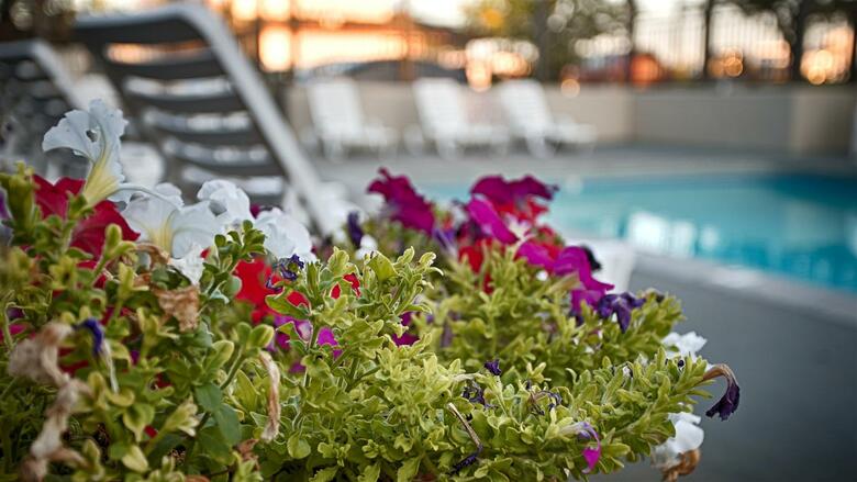 Hotel Best Western Airport Inn Boise
