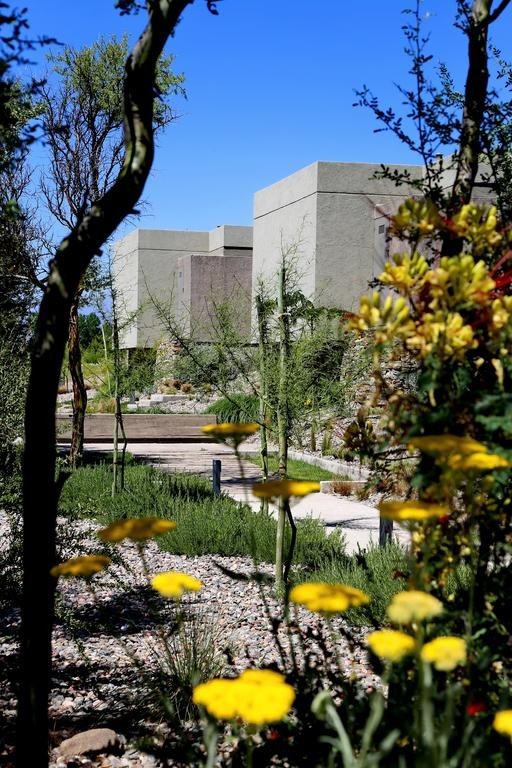 Casa Petrini