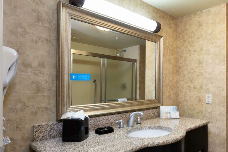 Hotel Hampton Inn Suites Baton Rouge