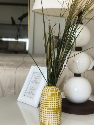 Apartamento Deluxe Seniors