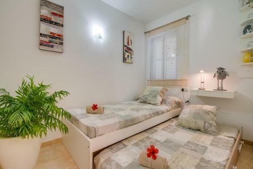 Apartamento El Sol Id:88209