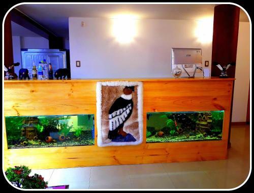 Bed & Breakfast La Casa Del C�ndor