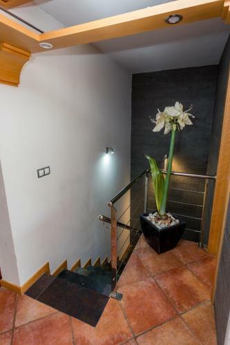 Apartamento Paradise Retreat Heated Pool