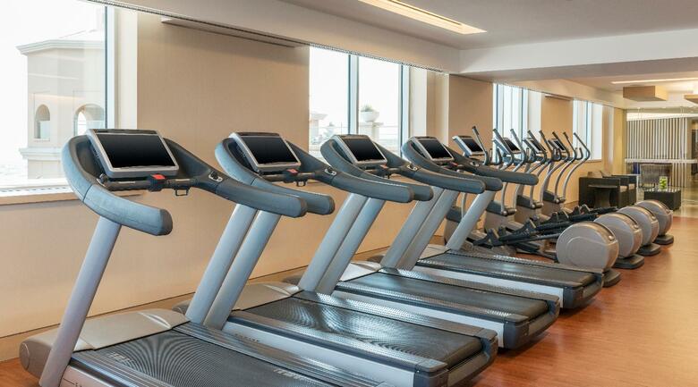 Hotel Pullman Mall Of The Emirates