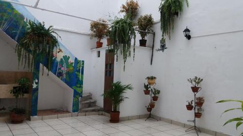 Hostal Hostel Imperial Peru