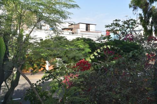 Hostal Studio In Miraflores