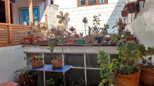 Hostal Studio In Miraflores