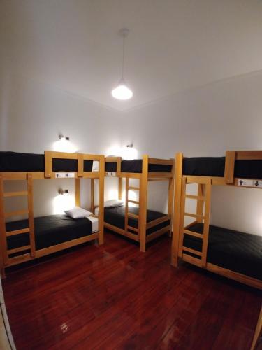 Orchid Hostels