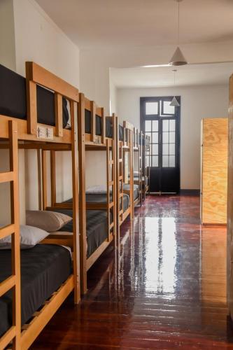 Orchid Hostels