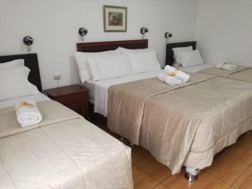 Bed & Breakfast Nazca House - Miraflores