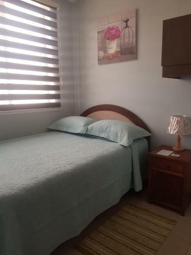 Bed & Breakfast Hostal Ostello Amadeus
