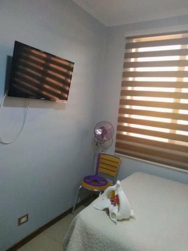 Bed & Breakfast Hostal Ostello Amadeus