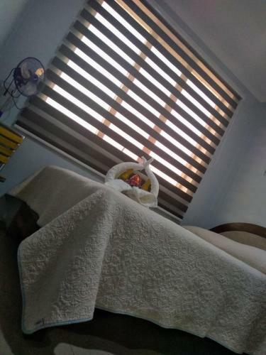 Bed & Breakfast Hostal Ostello Amadeus