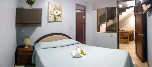 Bed & Breakfast Hostal Ostello Amadeus