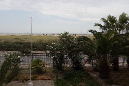 Apartamento Departamento Con Vista A Playa Chinchorro