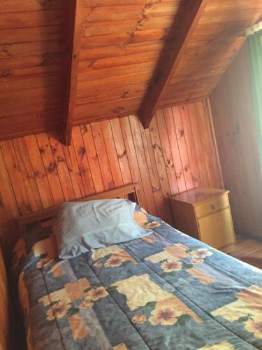 Hotel Caba�as Las Palmeras 1 C�huil