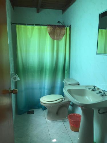 Hotel Caba�as Las Palmeras 1 C�huil